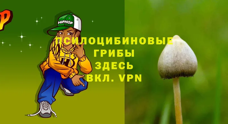 Псилоцибиновые грибы Cubensis  Константиновск 